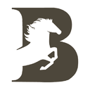 Dongguan Boze Leather Co., Ltd. logo