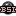 B.S. International logo
