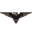 EAKAU INTERNATIONAL OPTICAL-ELECTRONIC CO., LTD. logo