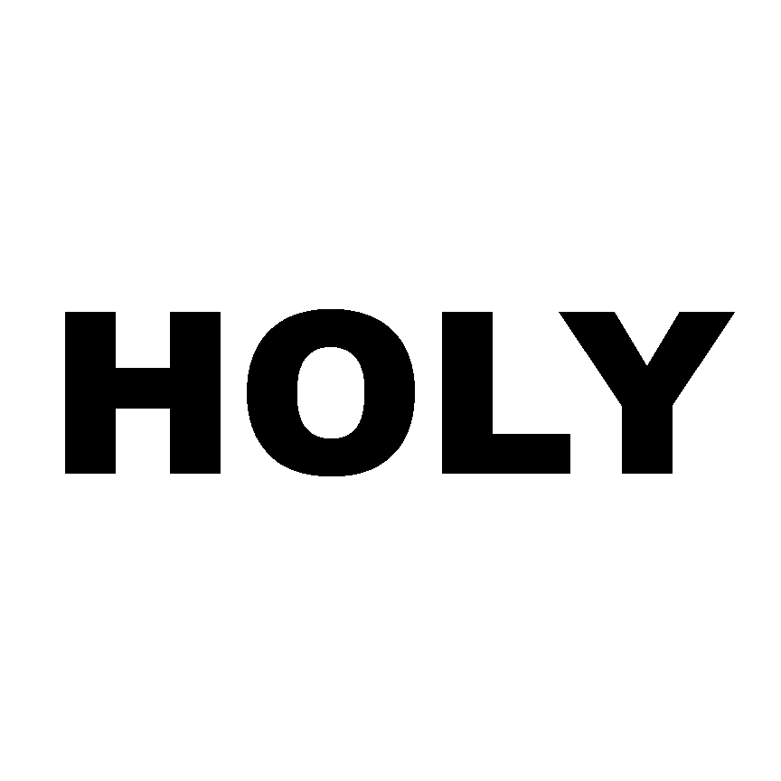 Holy Expo Private Limited logo