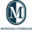MERIDIAN OVERSEAS logo