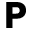 PERSIL EMBROIDERIES PVT LTD logo