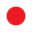 RED CHERRY logo