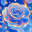 Shinysource Co Ltd logo