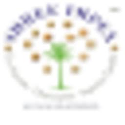 SHREE IMPEX logo