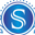 SILVERSPOON INDIA logo