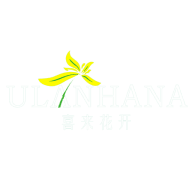 Inner Mongolia China Garments Cashmere Products Co., Ltd. logo
