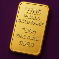 W G S INTERNATIONAL logo